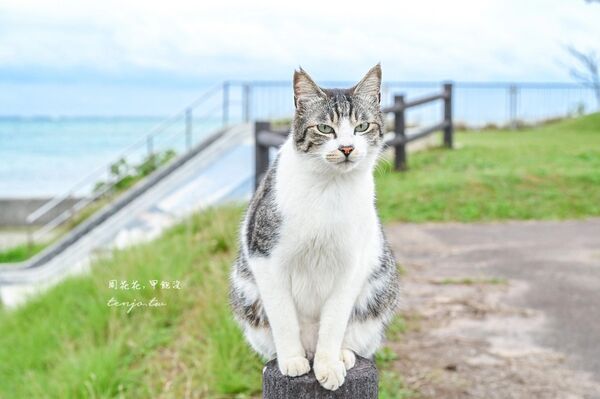 ▲▼南之濱町綠地公園。（圖／周花花授權提供）