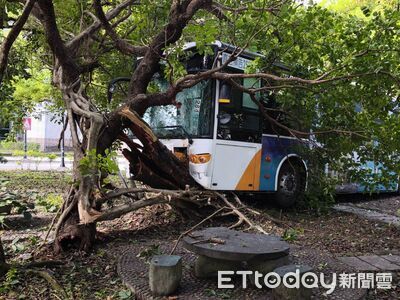 快訊／三軍總醫院內公車自撞！車頭凹陷、玻璃碎裂　10人緊急送醫