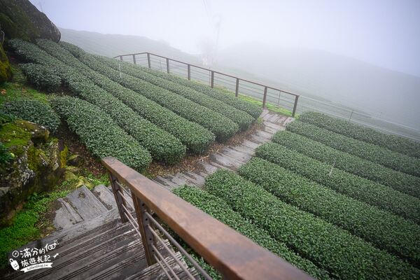 ▲▼花石溪步道。（圖／滿分的旅遊札記授權提供）