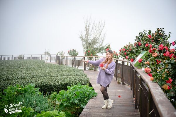 ▲▼花石溪步道。（圖／滿分的旅遊札記授權提供）