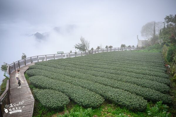 ▲▼花石溪步道。（圖／滿分的旅遊札記授權提供）