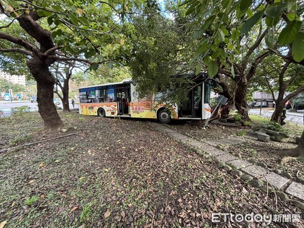 ▲▼             三軍總醫院內一輛公車失控自撞路樹，造成10人受傷送醫。（圖／記者張君豪翻攝，下同）