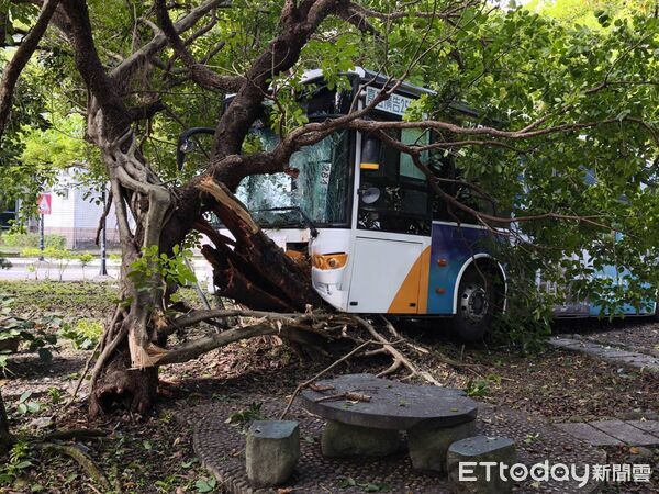 ▲▼             三軍總醫院內一輛公車失控自撞路樹，造成10人受傷送醫。（圖／記者張君豪翻攝，下同）