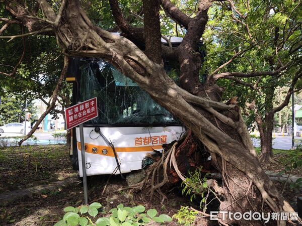 ▲▼             三軍總醫院內一輛公車失控自撞路樹，造成10人受傷送醫。（圖／記者張君豪翻攝，下同）