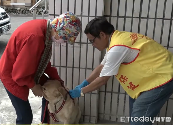 ▲115年度免費狂犬病預防注射暨寵物登記優惠活動開跑。（圖／資料照片，翻攝「南投縣政府」Youtube頻道）
