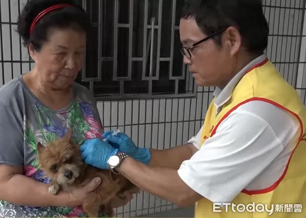 ▲南投縣115年度免費狂犬病預防注射暨寵物登記優惠活動4月上旬開跑。（圖／資料照片，翻攝「南投縣政府」Youtube頻道，下同）