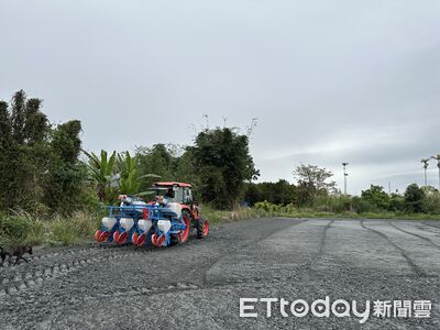 馬太鞍農地復耕轉作雜糧！整合八大措施　適地適種3種作物