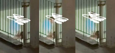 長髮女樓梯間「下跪吞吐」21秒片瘋傳！鄰居崩潰：已連看3晚