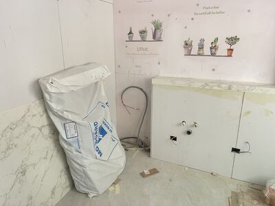 萬華小資女翻修老屋遇「裝修蟑螂」　付180萬慘變爛尾屋