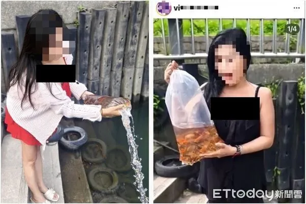 ▲▼細肩帶辣妹買百隻金魚「放生」全倒碧潭　拍照喊：7次幫媽祈福。（圖／新北動保處）