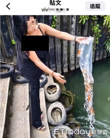 ▲▼細肩帶辣妹買百隻金魚「放生」全倒碧潭　拍照喊：7次幫媽祈福。（圖／新北動保處）