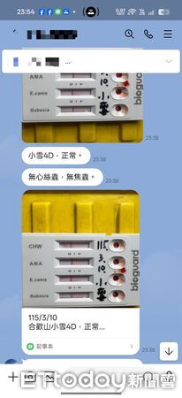 ▲合歡山下雪2毛孩被陌生人帶上山野放　救援成功：看見媽咪秒哭哭。（圖／社團法人浪愛有巢 吳所謂提供，請勿隨意翻拍，以免侵權。）