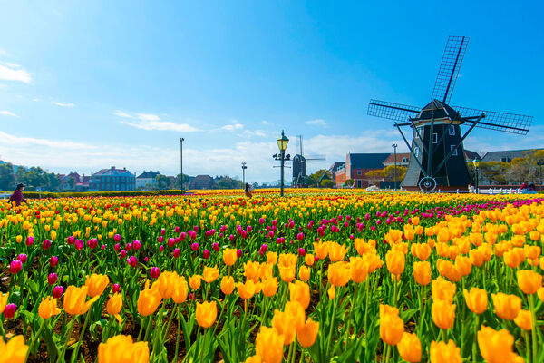 ▲▼豪斯登堡。（圖／業者提供）