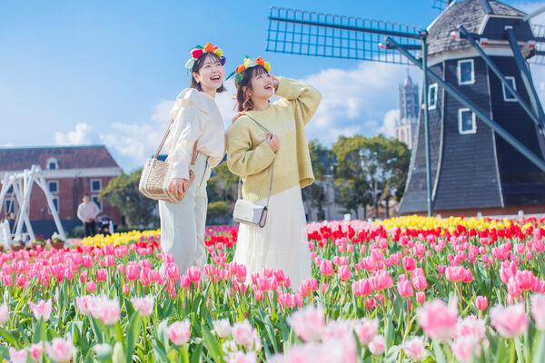 ▲▼豪斯登堡。（圖／業者提供）