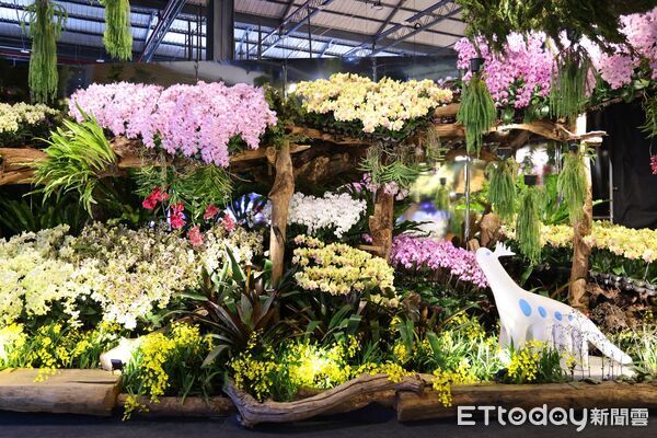 ▲超萌吉祥物「蘭獸」現身2026台灣國際蘭展，成為展場最吸睛亮點。（記者林東良翻攝，下同）