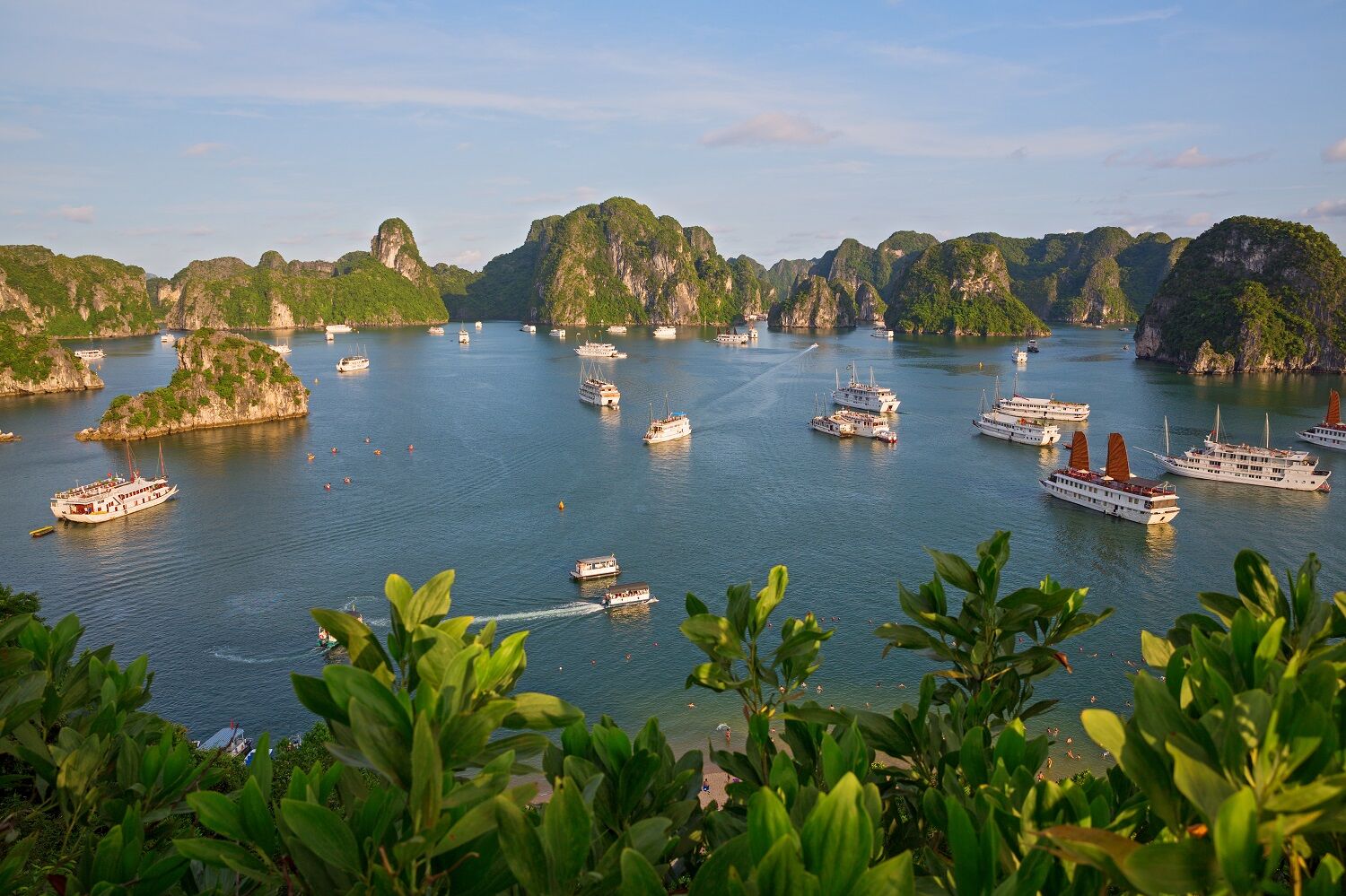 五星阿麗莎！北越下龍灣奢華船遊（圖／喬瑞旅行社、shutterstock）