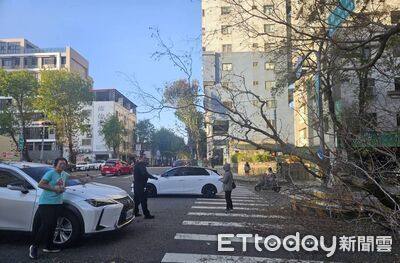 台中路樹傍晚遭吹倒橫躺2車道 路過自小客被刮傷