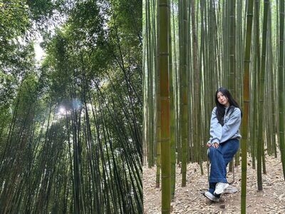 苗栗泰安免門票景點一日遊！