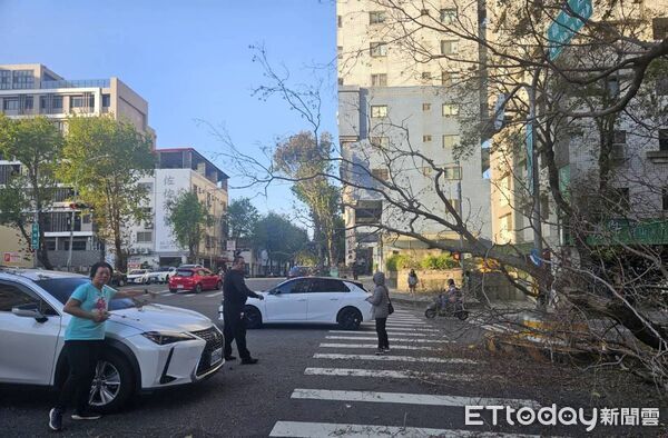 ▲▼台中路樹遭強風吹倒橫躺2車道。（圖／民眾提供，下同）