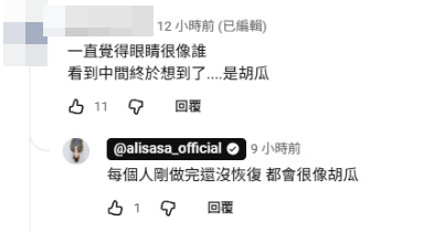 ▲▼愛莉莎莎韓國割雙眼皮！網指「撞臉胡瓜」親回應。（圖／翻攝自YouTube）