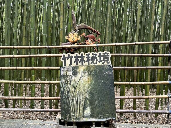 ▲▼泰安免門票景點。（圖／ReadyGo提供）