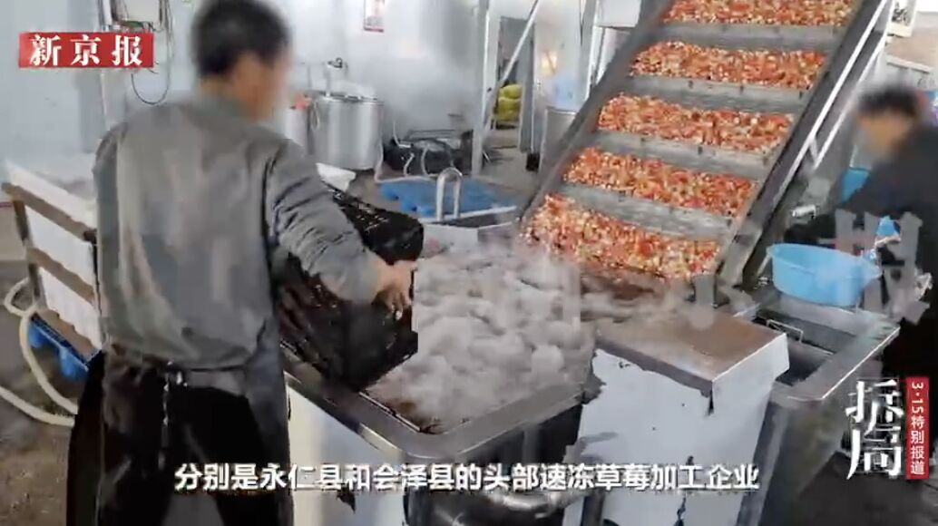 ▲大陸凍乾草莓農藥超標承業內不能說的「潛規則」。（圖／翻攝新京報）