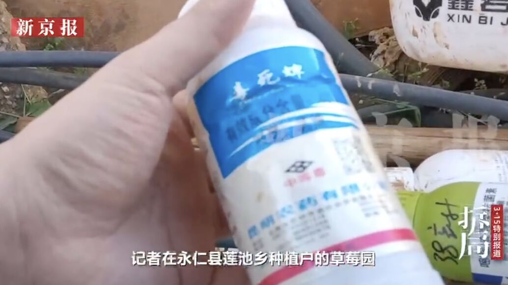 ▲大陸凍乾草莓農藥超標承業內不能說的「潛規則」。（圖／翻攝新京報）