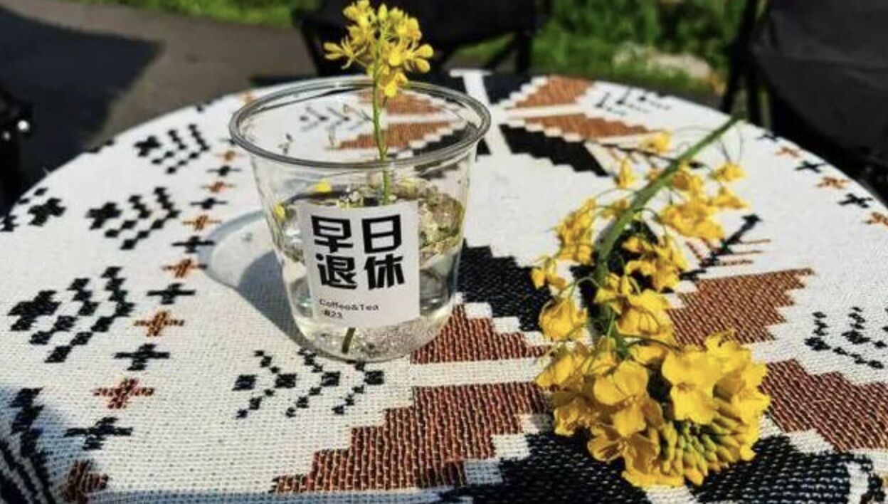 ���ƶ����ȳ��� ��ͼ/���㶼�п챨��