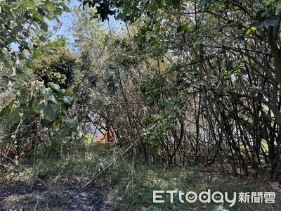 相驗結果出爐！嘉義男砍柴整地引發火勢　倒雜草堆逃不出意外亡