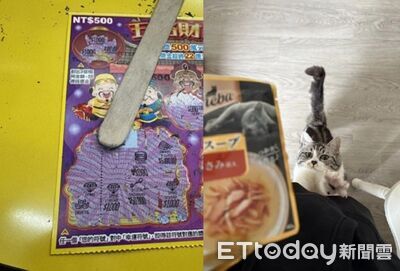 帶貓挑刮刮樂「中五千塊」　主子回家對零食櫃大叫要加菜