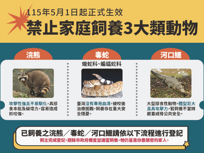 農業部公告禁養641種危險動物　包含浣熊、河口鱷