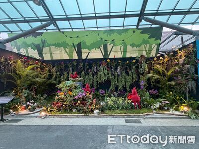 蘭花景觀競賽「最佳人氣獎」最後衝刺　南市府邀全民線上應援抽好禮