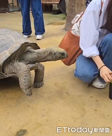 ▲。（圖／Threads@boyafang提供，請勿隨意翻拍，以免侵權。）