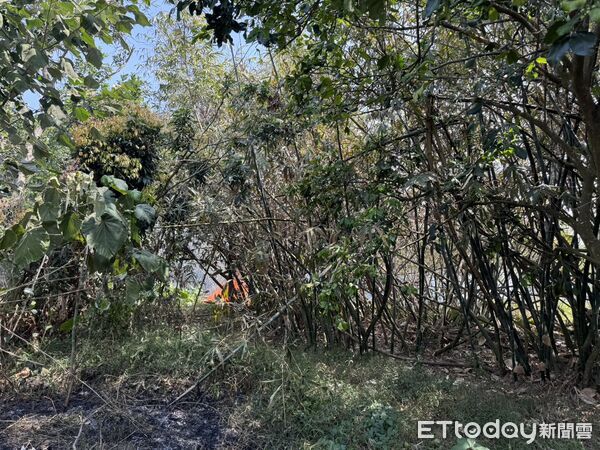 ▲嘉義雜草火警，1男送醫搶救不治。（圖／記者翁伊森翻攝，下同）