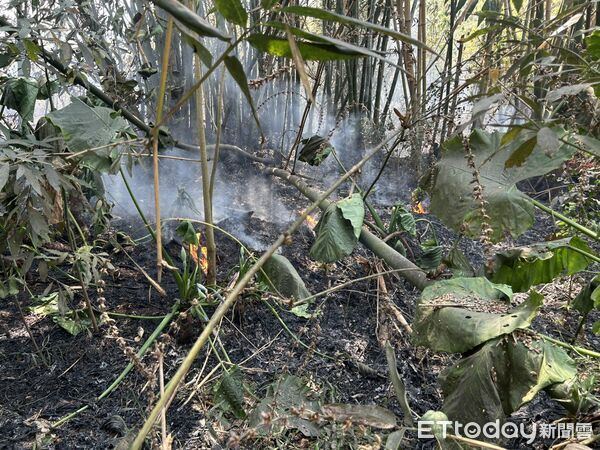 ▲嘉義雜草火警，1男送醫搶救不治。（圖／記者翁伊森翻攝，下同）