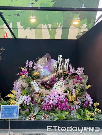 ▲「2026台灣國際蘭展暨花卉科技展」蘭花景觀競賽「最佳人氣獎」票選進入最後倒數。（記者林東良翻攝，下同）
