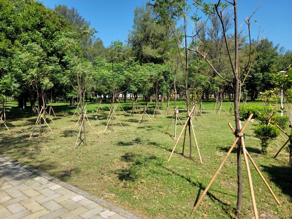▲台中港綠化照片。（圖／台中港務分公司）