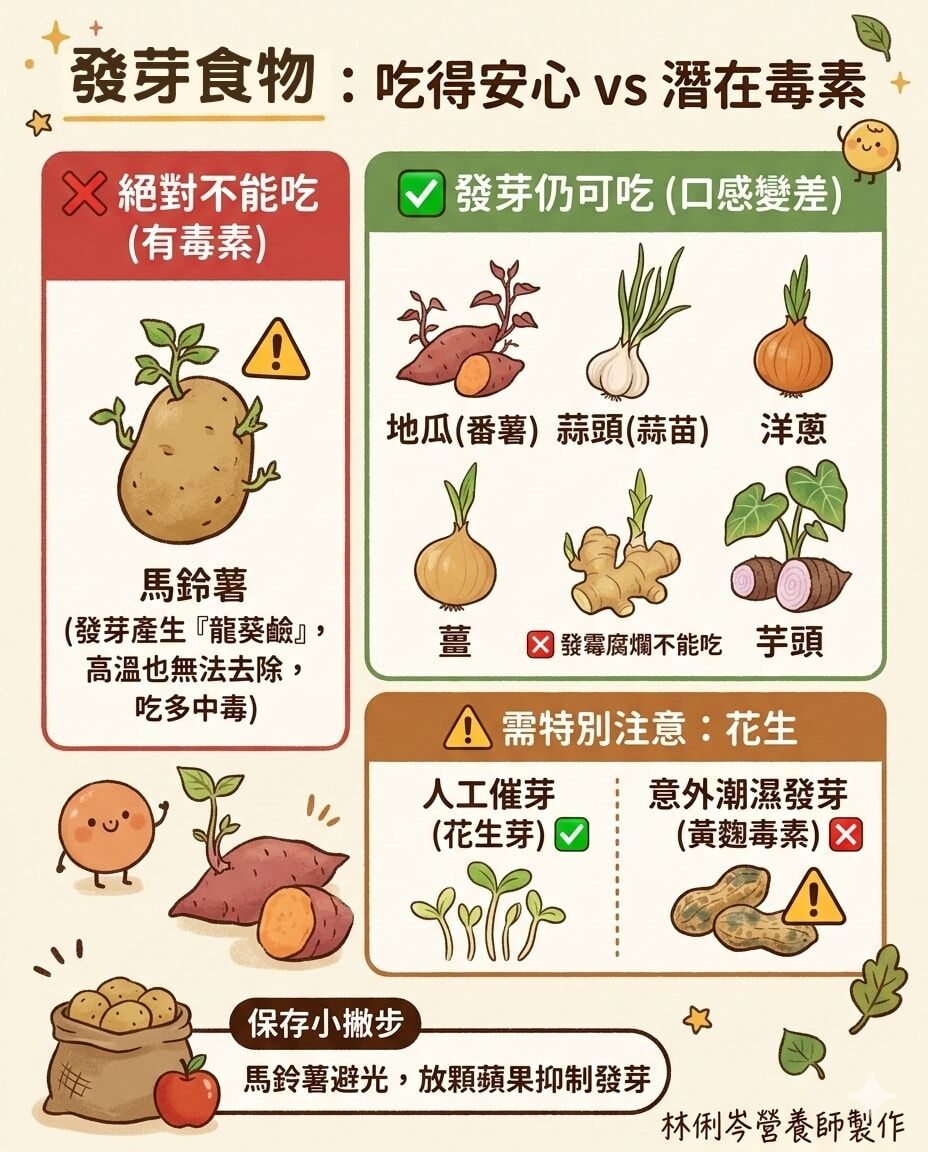 ▲挖掉也沒用！「1食物發芽」吃了恐中毒　營養師一張圖揭地雷。(圖/林俐岑營養師授權提供)