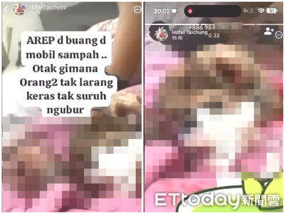 獨／旅館找密醫墮胎「滿床血」恐怖畫面曝　她：嬰屍丟垃圾車了