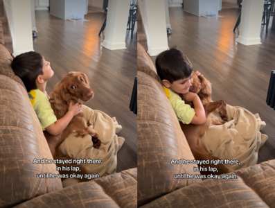 小主人血糖變化狗狗先知道！　牠狂戳媽比儀器還準確