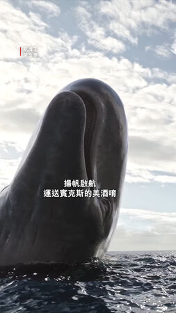 ▲▼《航海王》第2季拉布的故事令人感動。（圖／翻攝自X、IG）