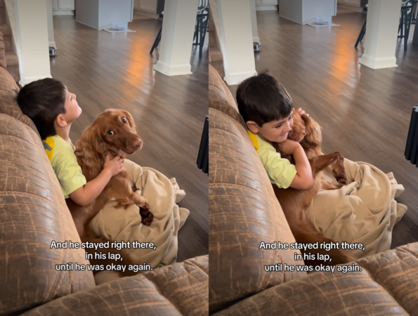 糖尿病偵測犬。（圖／翻攝自IG@typeonederfulwells）