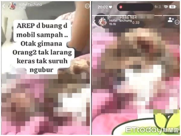 ▲▼ 印尼籍女子疑在台中某旅館私自墮胎，並將嬰還屍體丟棄在垃圾車。（圖／記者陸運陞翻攝）