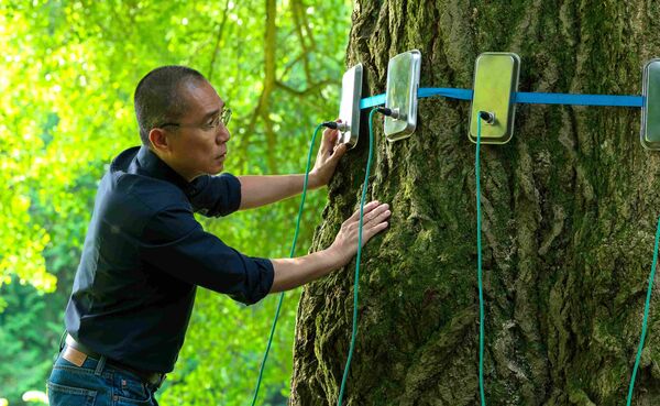 ▲梁朝偉首度演出歐洲電影《你是不會當樹嗎》。（圖／海鵬提供）