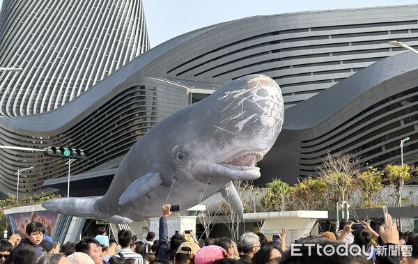 ▲▼《航海王》高雄遊行。（圖／記者許宥孺攝）