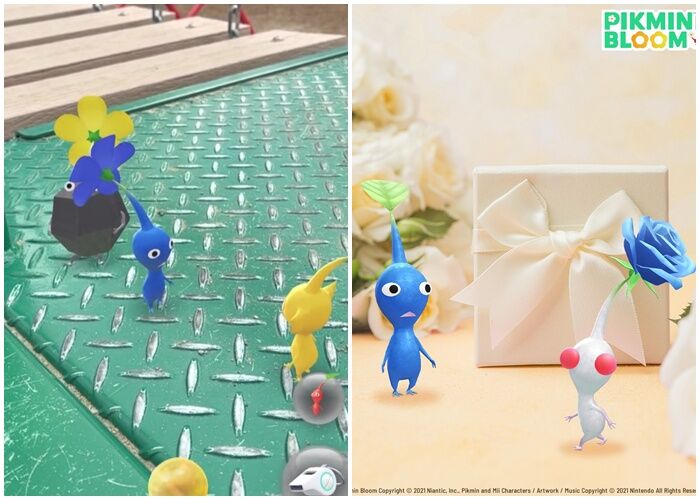 ▲▼皮克敏。（圖／翻攝自Threads／Pikmin Bloom 中文官方帳號）