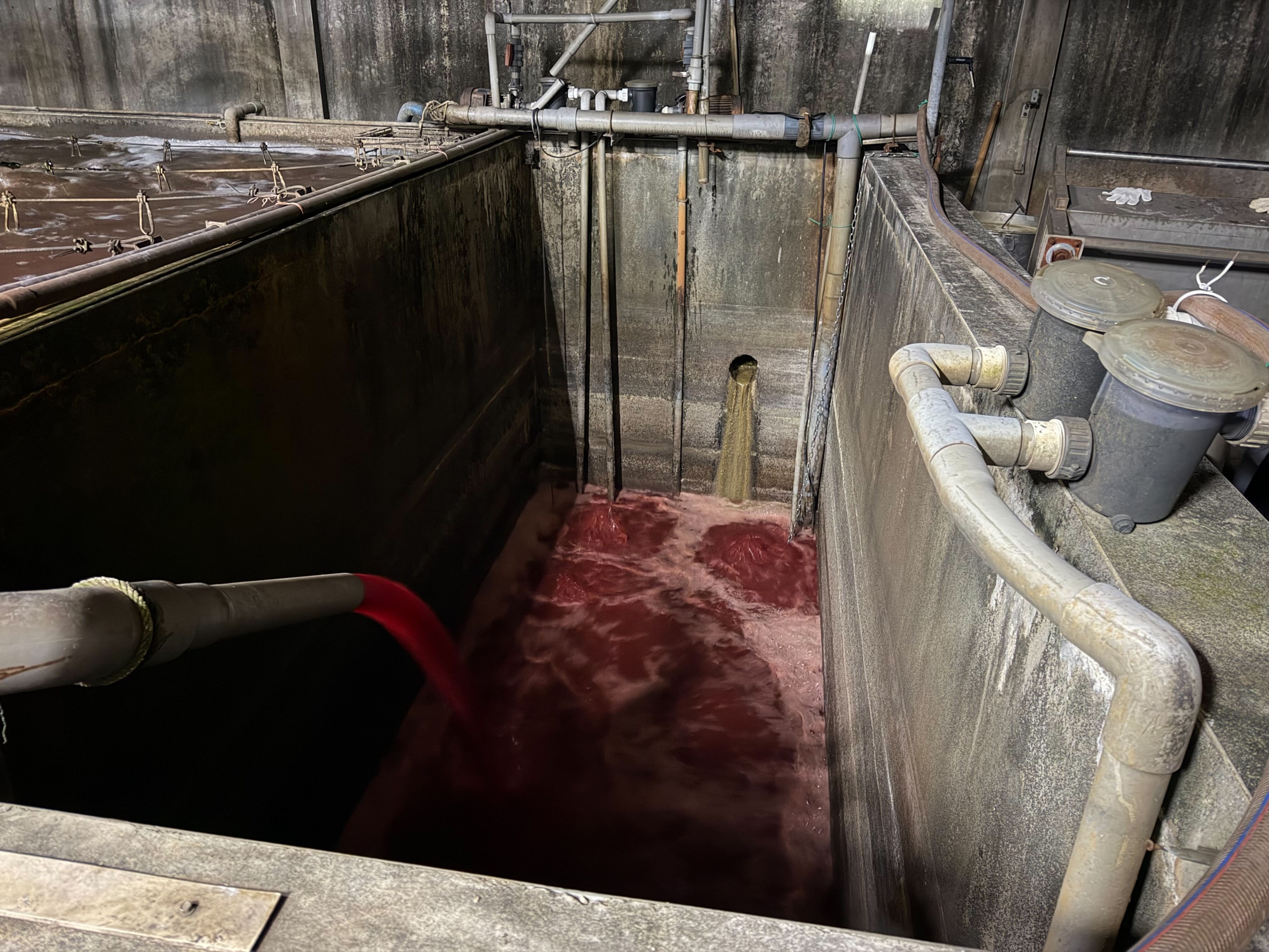▲▼福伯食品將屠宰廢水繞流排放。（圖／翻攝新北市政府官網）