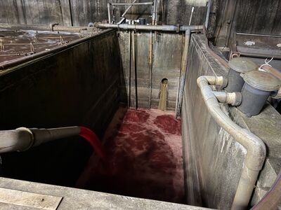 暗夜血流成河！新北福伯食品接管「偷排血色廢水」　市府勒令停工