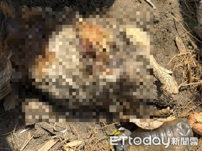 失蹤38天！彰化杜告犬「健康」生前曾被通報遭虐　再見疑成白骨