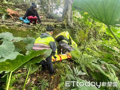 花蓮婦種山蘇跌山坡「全身痛無法動彈」　警消擔架抬下山送醫